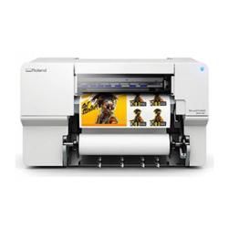 Eco-Solvent and Sublimation Printers